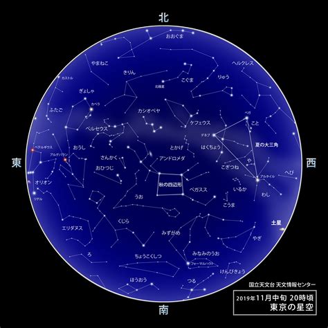 11月22號什麼星座|11月22日出生的星座